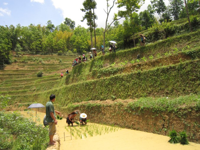 HUMANA CHINA FARMERS SHALATUO