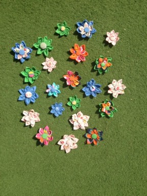 HUMANA FAMILIAS SIN RECURSOS