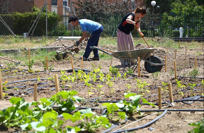 HUMANA HUERTO 3C LEGANES 2