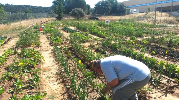 HUMANA_3C_SAN AGUSTIN_HUERTO