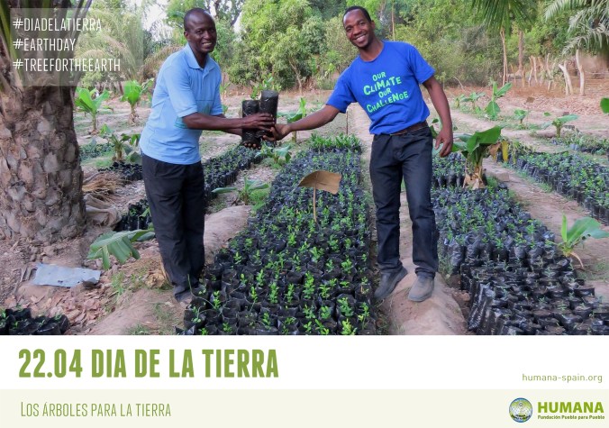 HUMANA_DIA DE LA TIERRA_ARBOLES_