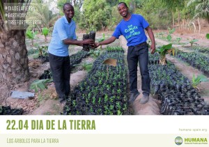 HUMANA_DIA DE LA TIERRA_ARBOLES_