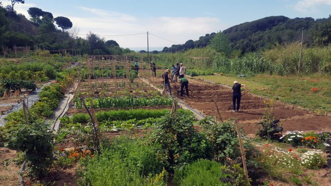 Calella_hort social_maig 2017_02