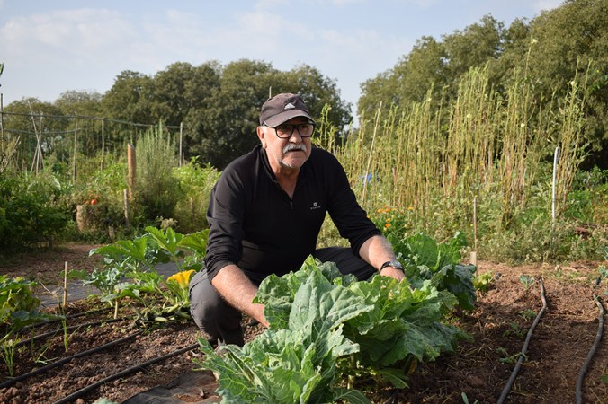 3c_Palau_Casimiro Castillo_03