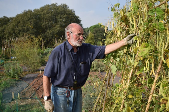 3c_Palau_Laureà Muñoz_06