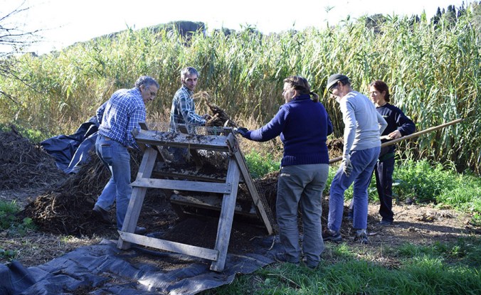 3C_Calella_treballant_03