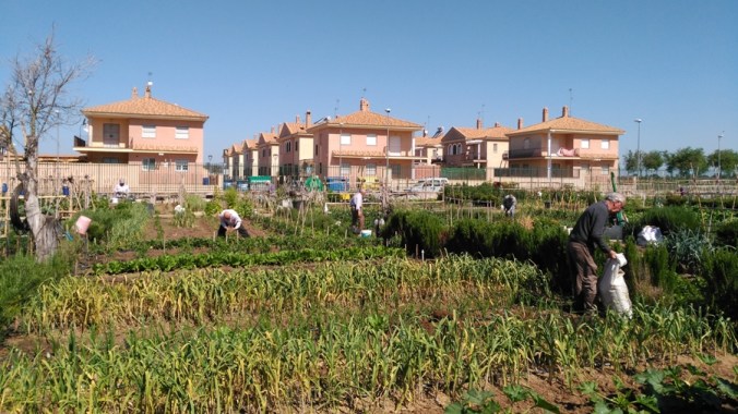 IMG_20180505_112831 - copia