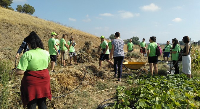 IMG_20190919_114647_321